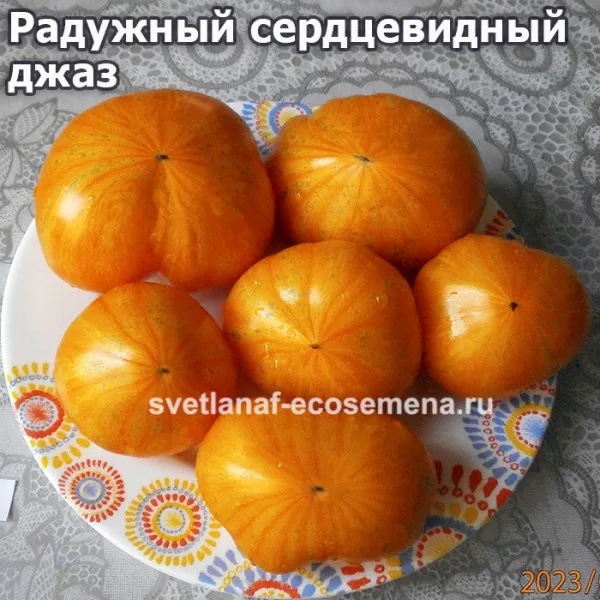 Томат Радужное джазовое сердце