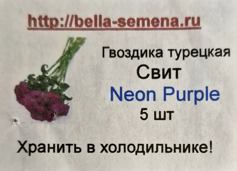 Турецкая свит neon purpul