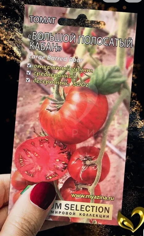 Большой полосатый кабан