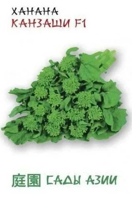 Капуста спаржевая Ханана Канзаши F1