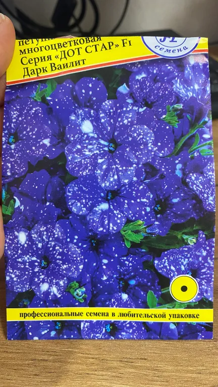 Петуния Дот Стар F1 Дарк вайлет