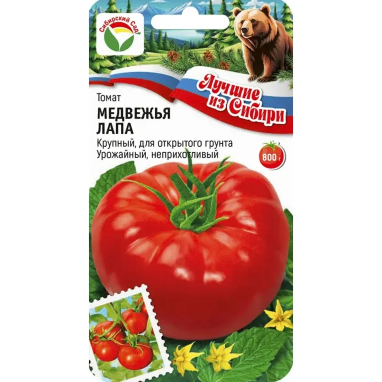 Томат Медвежья лапа