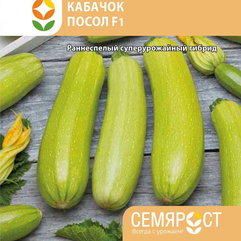 Кабачок Посол F1