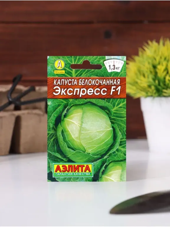 Капуста белокочанная Экспресс F1