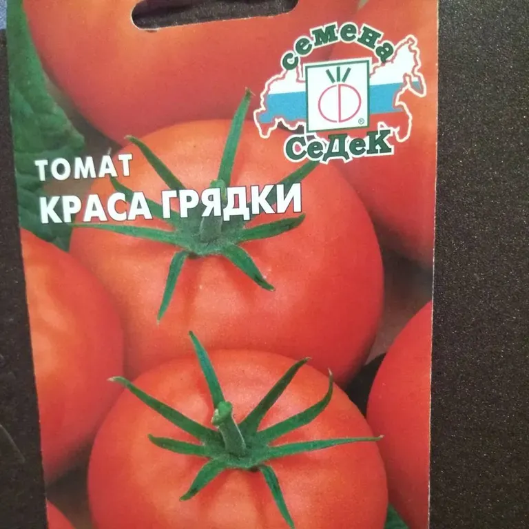 Томат Краса грядки