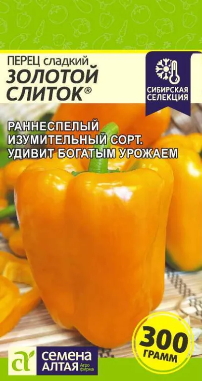 Золотой слиток