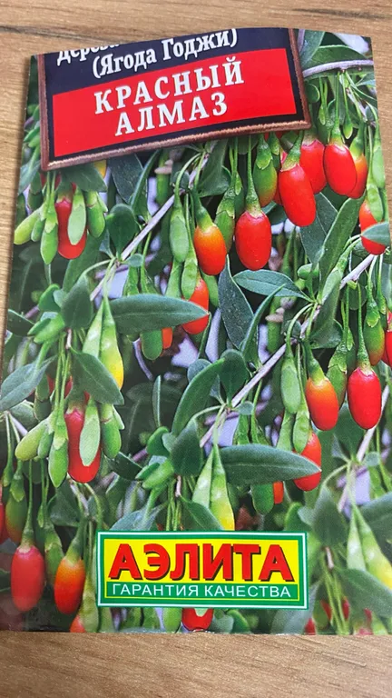 Дереза обыкновенная (Годжи) Красный алмаз