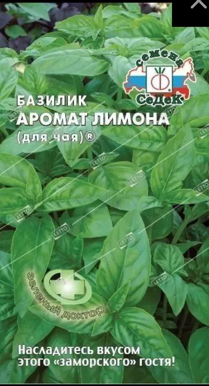 Базилик Аромат Лимона (Для чая)