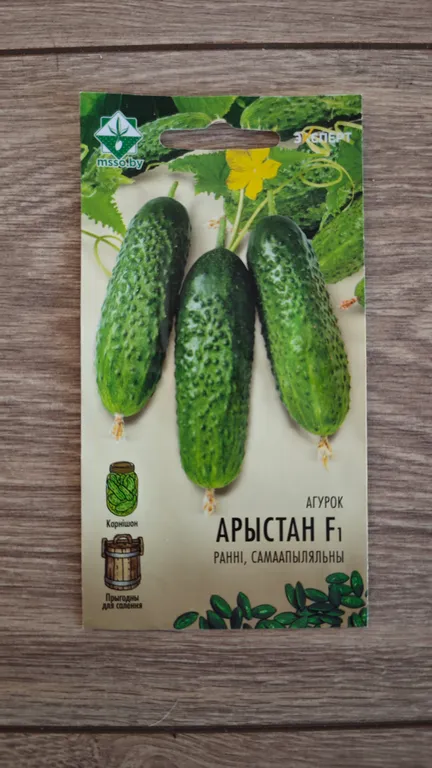 Огурец Ористан