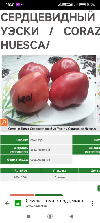 Томат Сердцевидный из Уэски