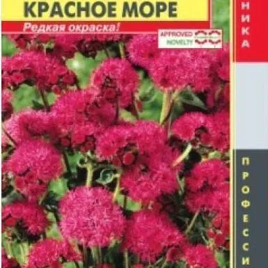 Агератум Красное море