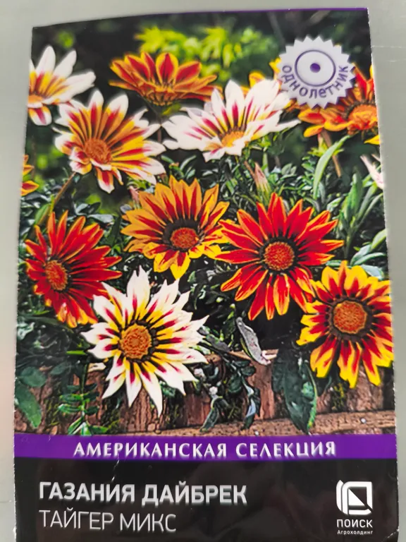 Газания Дайбрек Тайгер микс