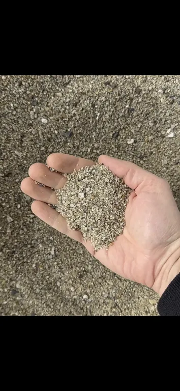 Сидерат (Рожь Озимая)