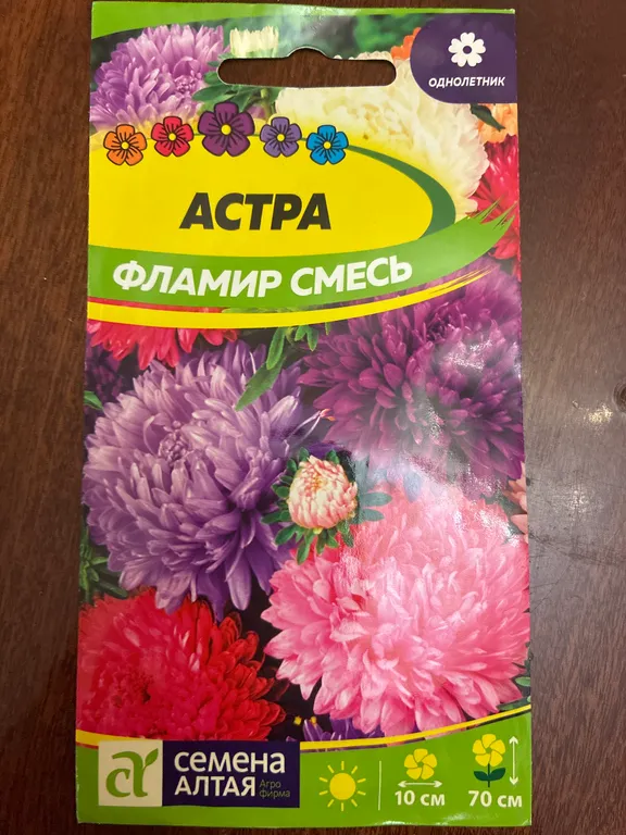 Астра Фламир Смесь Окрасок