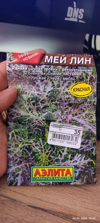 Горчица сарептская (салатная) Мей Лин