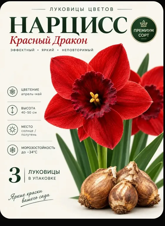 Красный дракон