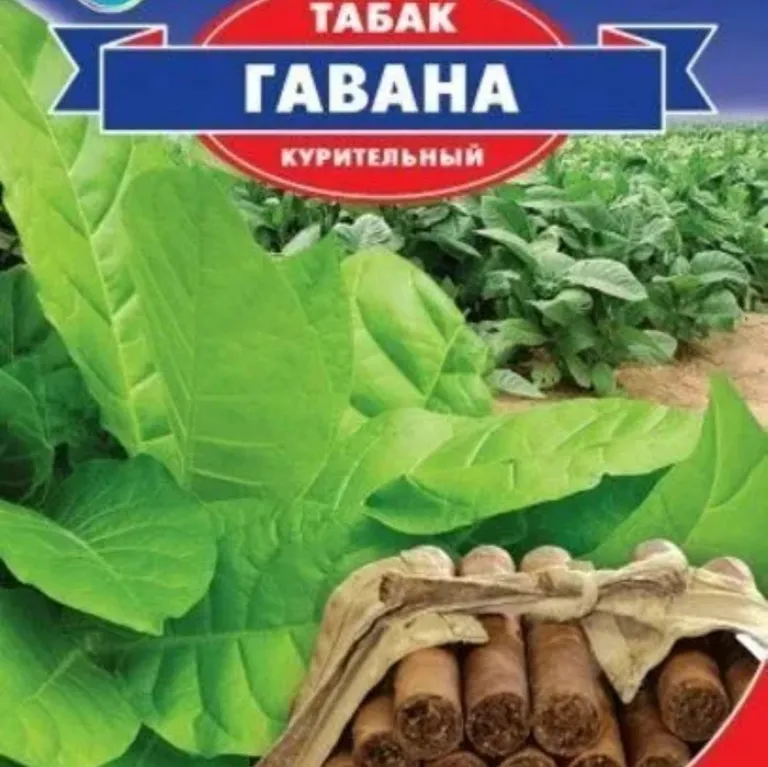 Табак курительный Гавана