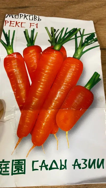 Морковь Рекс F1