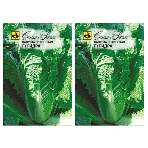 Капуста пекинская Гидра F1