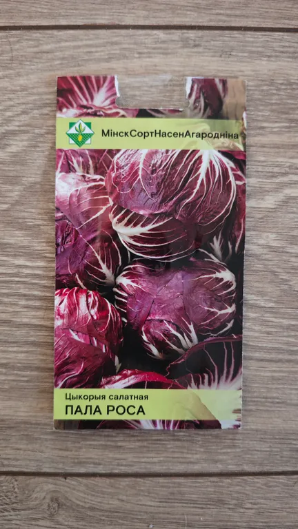 Салат цикорный Пала Росса