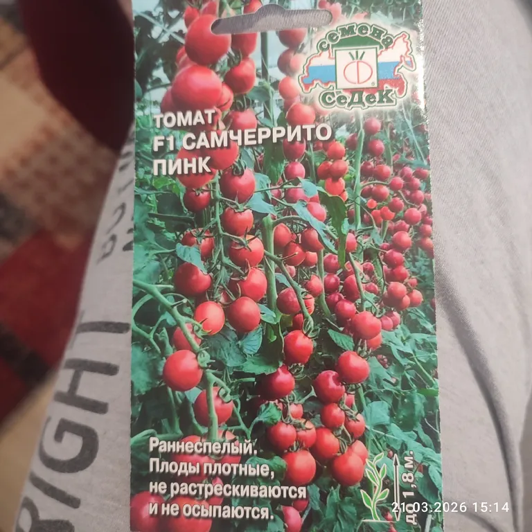 Самсеррито Пинк F1