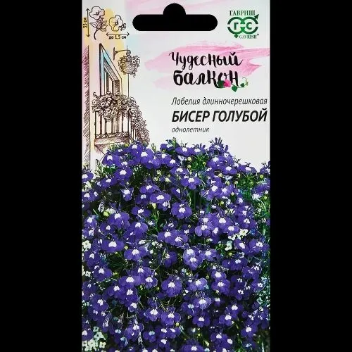 Лобелия Бисер голубой