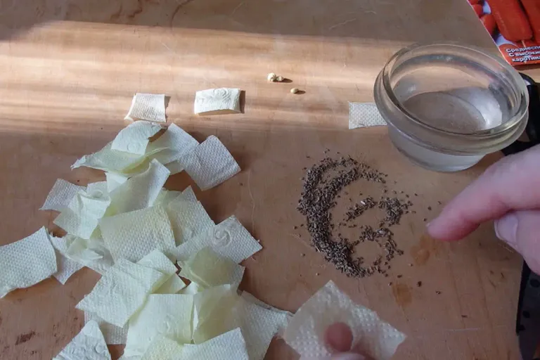 Чем занять руки, когда сажать еще рано...