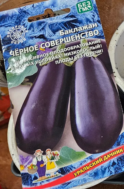 Баклажан Черное совершенство