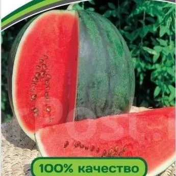 Арбуз Айваз F1