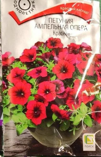 Петуния ампельная Опера Красная