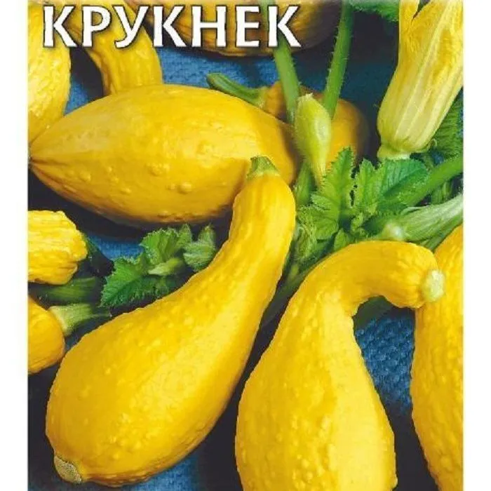 Кабачок крукнек