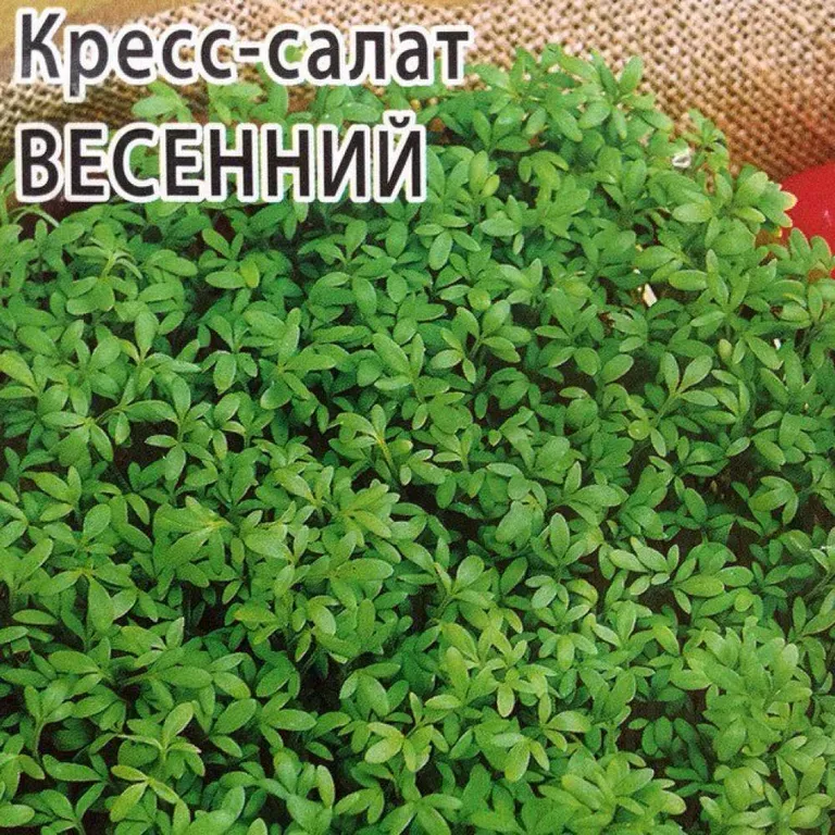 Кресс-салат Весенний
