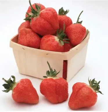 Земляника Cabot