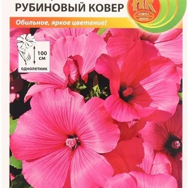 Лаватера Рубиновый ковер