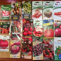 Татьяна Сторожева